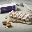 황실 토종닭 이미지