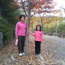 고유화 Daum카페