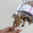 뽀그리 상점 이미지