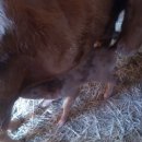 금란한우농장 이미지