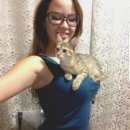 고양이 자리 이미지