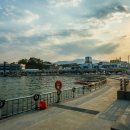 어항단지로 이미지