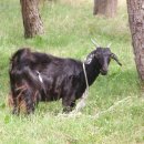 한인농장 이미지