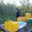 수석농장 이미지