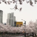 예뿌잔아 이미지