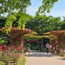 송도 해돋이공원 이미지