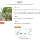 자강(주)