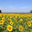 쪽빛하늘 이미지