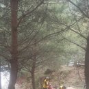 대한민국특수임무유공자회 이미지