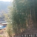 일광뚜꺼비공인중개사사무소 이미지