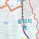 배짱오락 이미지