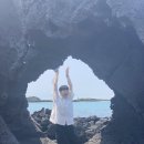 빈도롱이가 이미지