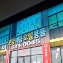 워킹펫 이미지