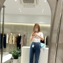 리안헤어고양
