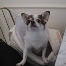 버틀러하우스 | 2025년 8월의 일상 모음 zip. 리틀버틀러/ 코징 파우치/