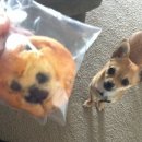 운암지 수변공원 이미지