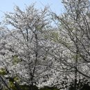 인화동-20 이미지