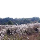 평원목장 이미지