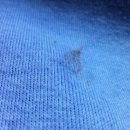 태화동물병원 이미지