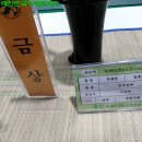 일품관