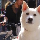 미휘트니스 이미지