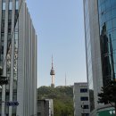 충무로맛집 데이트 쭈꾸미 내돈내산 솔직후기