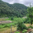 청평백암천 이미지