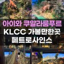 그림 그리는 로봇 ''통돌이''(Fun&Fun 과학관) | 쿠알라룸푸르 페트로사인스 디스커버리센터 KLCC 아이와 갈만한곳 방문후기