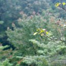 주천강자연휴양림 이미지