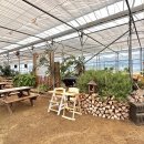 부산하우스열무국수 이미지