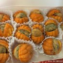 호텔박스천안터미널점 | 천안 할머니학화호두과자 신세계시외버스터미널점 슈톨렌 호두과자 품절정보 호절미 후기