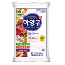 기적의 고농축 영양제 ‘로얄S’ – 생육부터 수확까지 확실히 다릅니다!