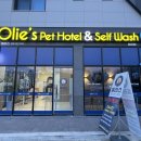 올리스24 명지점 이미지