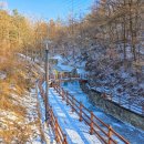 바라산자연휴양림 이미지