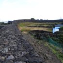 제주하도 이미지