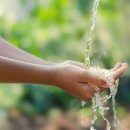 불소농장 이미지