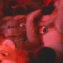 칼라퍼플 이미지