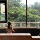 덴바스타호텔창원점 | 부산 자쿠지 숙소 덴바스타 포레스트호텔 아기랑 대형 히노끼 가족탕 숙박 후기