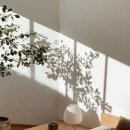 (주)거성종합건설 이미지