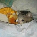 크로스핏 해 이미지