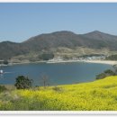 남해-233 이미지