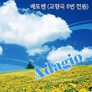 와가든