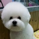 스테이 모량 이미지