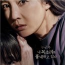 신비돌스 랙돌 캐터리 네이버블로그