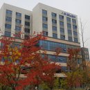 (주)제노레이 이미지