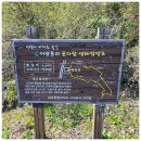 서광동리곶자왈 이미지