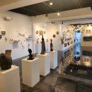 신안철새박물관 이미지