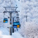 용평버치힐휴양콘도미니엄 이미지