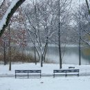 호숫가의 풍경 이미지