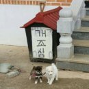 전주동물병원 이미지